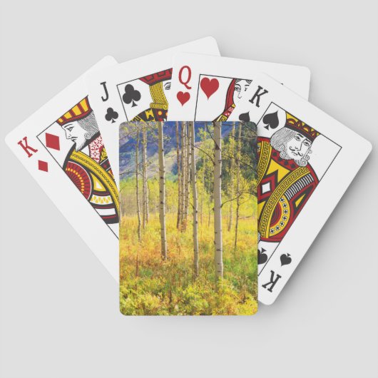 Espenbomen in de herfst in de Rockies Pokerkaarten (Achterkant)