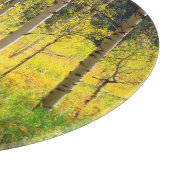Espenbomen in de herfst in de Rockies Snijplank (Hoek)