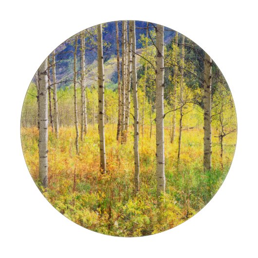 Espenbomen in de herfst in de Rockies Snijplank (Voorkant)