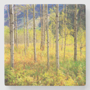 Espenbomen in de herfst in de Rockies Stenen Onderzetter