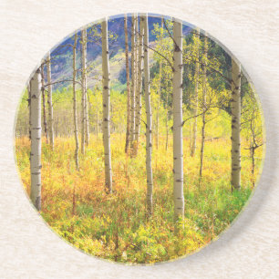 Espenbomen in de herfst in de Rockies Zandsteen Onderzetter