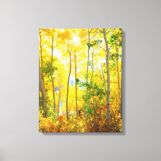 Espenbomen in de herfst | Sierra Nevada-gebergte, Canvas Afdruk (Voorkant)