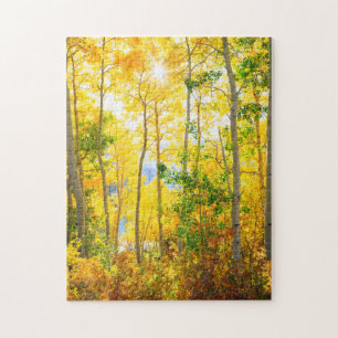 Espenbomen in de herfst Sierra Nevada-gebergte, Legpuzzel