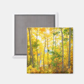 Espenbomen in de herfst | Sierra Nevada-gebergte, Magneet (Voorkant / Achterkant)