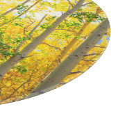 Espenbomen in de herfst | Sierra Nevada-gebergte,  Snijplank (Hoek)