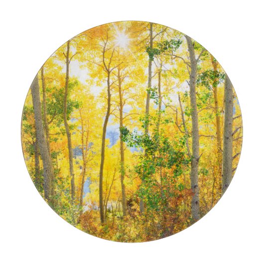 Espenbomen in de herfst | Sierra Nevada-gebergte,  Snijplank (Voorkant)