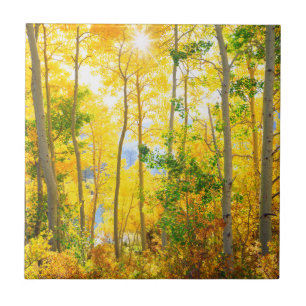 Espenbomen in de herfst Sierra Nevada-gebergte, Tegeltje