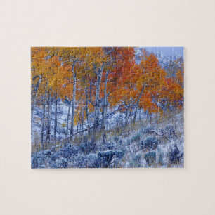 Espenbomen in herfstkleuren, Bighorn Mountains, Legpuzzel