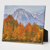 Espenbomen met het Teton-gebergte Fotoplaat (Zijkant)