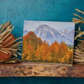 Espenbomen met het Teton-gebergte Fotoplaat (Zijkant)
