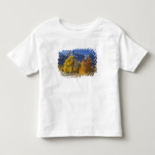 Espenbomen met het Teton-gebergte Kinder Shirts