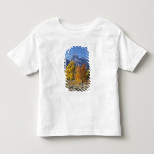 Espenbomen met het Teton-gebergte Kinder Shirts