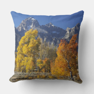 Espenbomen met het Teton-gebergte Kussen