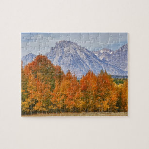Espenbomen met het Teton-gebergte Legpuzzel
