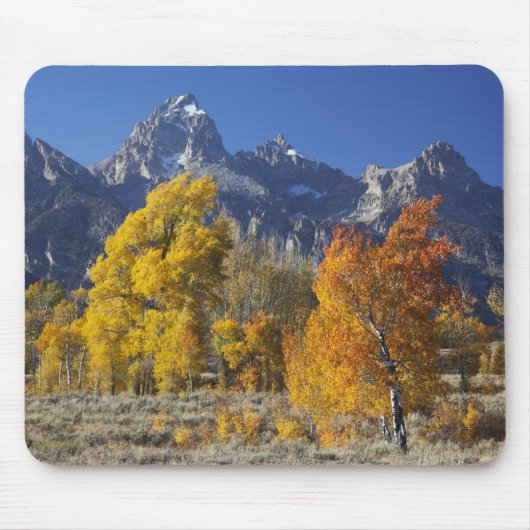 Espenbomen met het Teton-gebergte Muismat (Voorkant)
