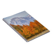 Espenbomen met het Teton-gebergte Notitieboek (Rechterzijde)