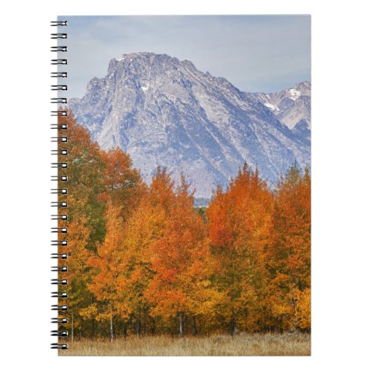 Espenbomen met het Teton-gebergte Notitieboek (Voorkant)