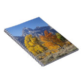 Espenbomen met het Teton-gebergte Notitieboek (Rechterzijde)