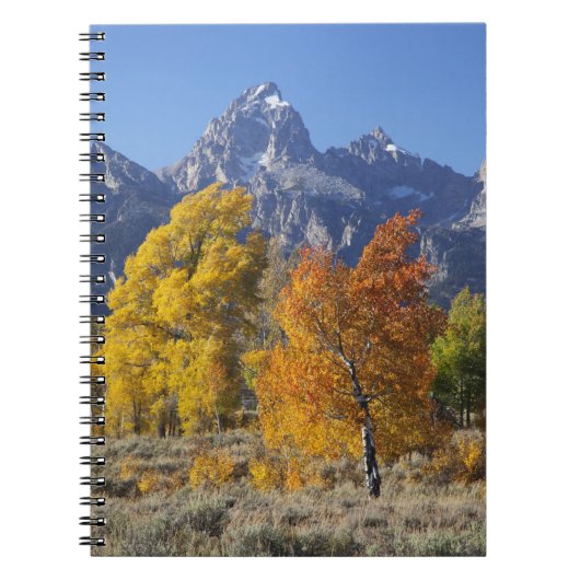 Espenbomen met het Teton-gebergte Notitieboek (Voorkant)