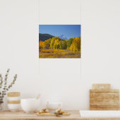 Espenbomen met het Teton-gebergte Poster (Keuken)