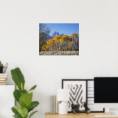 Espenbomen met het Teton-gebergte Poster (Thuiskantoor)