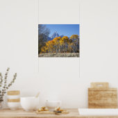 Espenbomen met het Teton-gebergte Poster (Keuken)