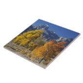 Espenbomen met het Teton-gebergte Tegeltje (Zijkant)