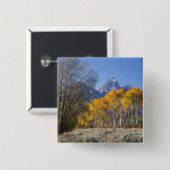 Espenbomen met het Teton-gebergte Vierkante Button 5,1 Cm (Voorkant /achterkant)