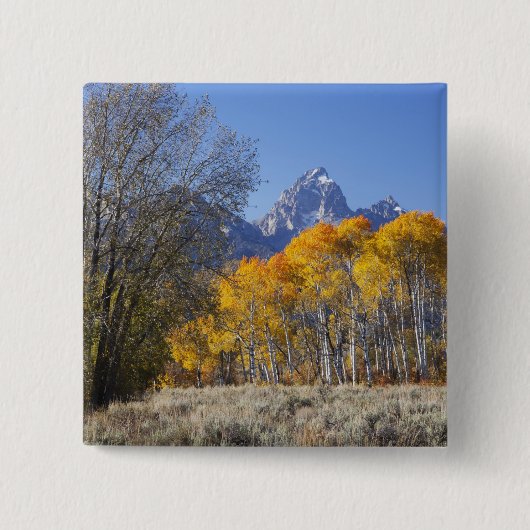 Espenbomen met het Teton-gebergte Vierkante Button 5,1 Cm (Voorkant)