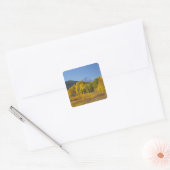 Espenbomen met het Teton-gebergte Vierkante Sticker (Envelop)