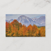 Espenbomen met het Teton-gebergte Visitekaartje (Achterkant)