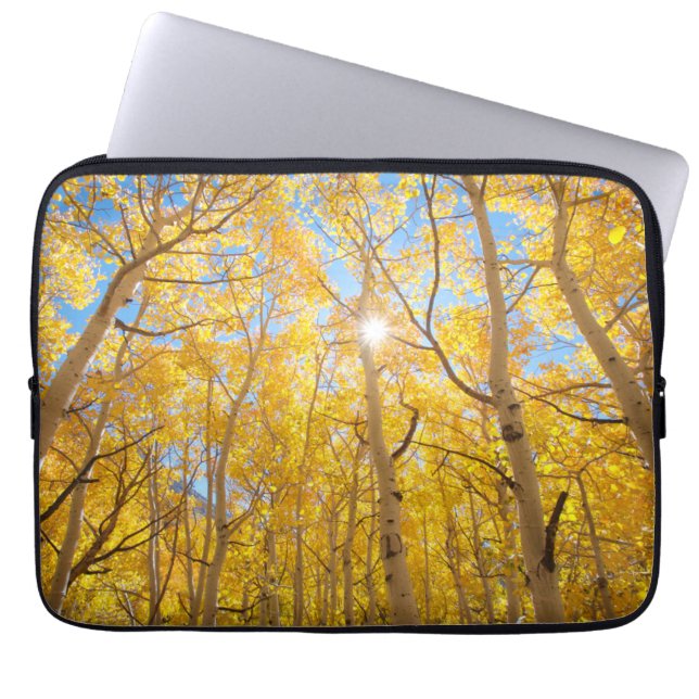 Espenbomen | Sierra Nevada-gebergte, CA Laptop Sleeve (Voorkant)