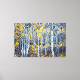 Espenbomenbos in herfstloof canvas afdruk