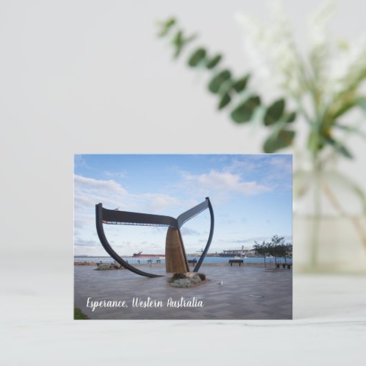 Esperance Esplanade Western Australia Briefkaart (Staand voorkant)