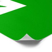 Esperanto Flag Poster (Hoek)