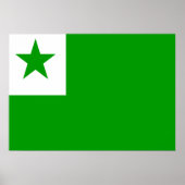 Esperanto Flag Poster (Voorkant)