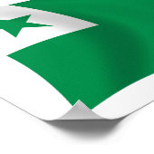 Esperanto Flag Poster Print (Hoek)