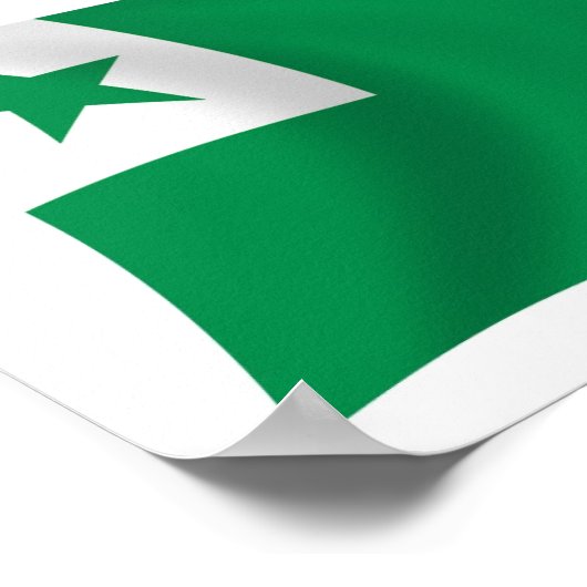 Esperanto Flag Poster Print (Hoek)