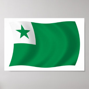 Esperanto Flag Poster Print