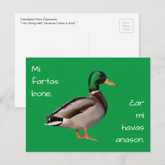 Esperanto: Het bot Mi fartas, Josepmi havas anason Briefkaart (Voorkant / Achterkant)