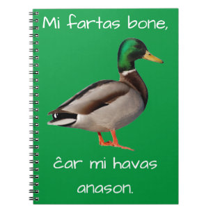 Esperanto: Het bot Mi fartas, Josepmi havas anason Notitieboek