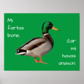 Esperanto: Mi fartas bone, ĉar mi havas anason. Poster (Voorkant)