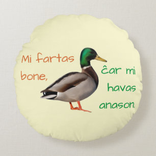 Esperanto: Mi fartas bone, ĉar mi havas anason. Rond Kussen