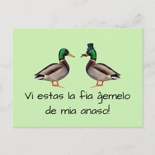 Esperanto: Vi estas de ĝ emelo de mia anaso! Briefkaart (Voorkant)