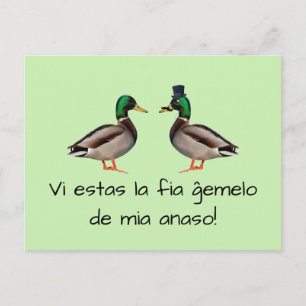 Esperanto: Vi is ĝ emelo van mia anaso. Briefkaart