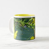 Esperanza Mok (Voorkant links)