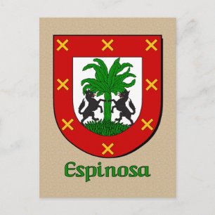 Espinosa Family Heraldic Shield Briefkaart