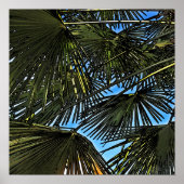  espiritu del verano poster (Voorkant)