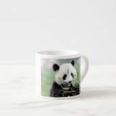 espresso cup Foto reus panda. Kop (Voorkant rechts)