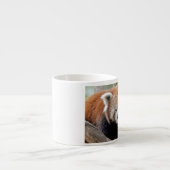 espresso cup Foto rode panda. Kop (Voorkant)